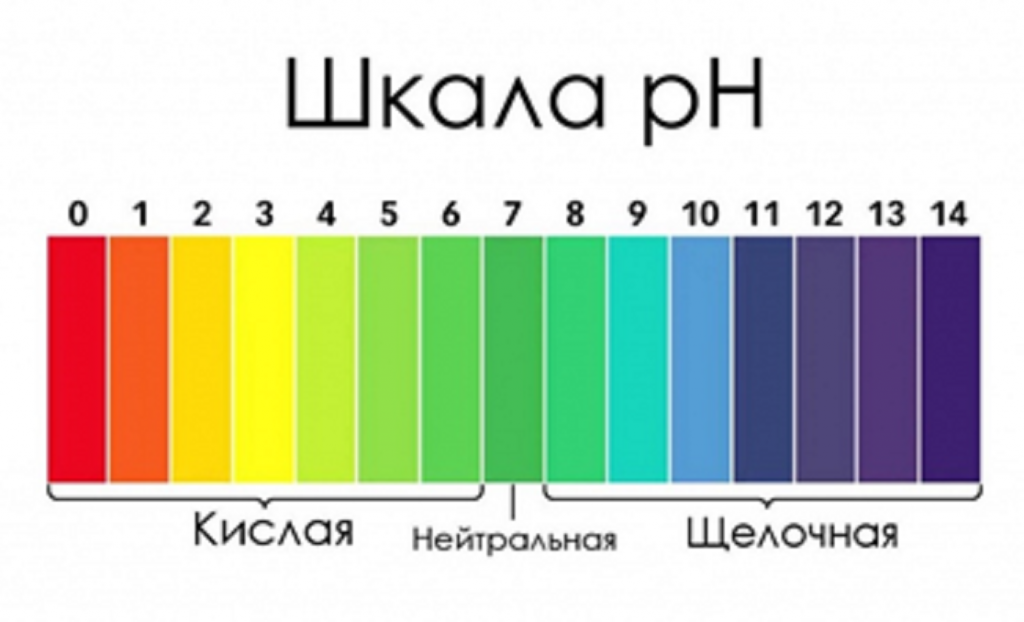 Шкала ph.png
